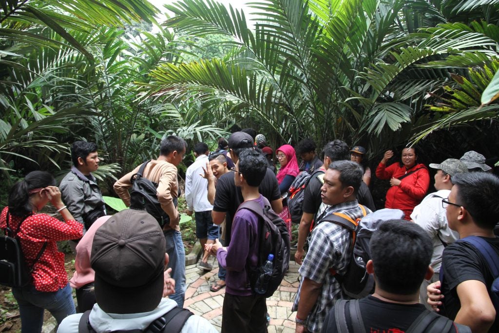 cagar buah condet