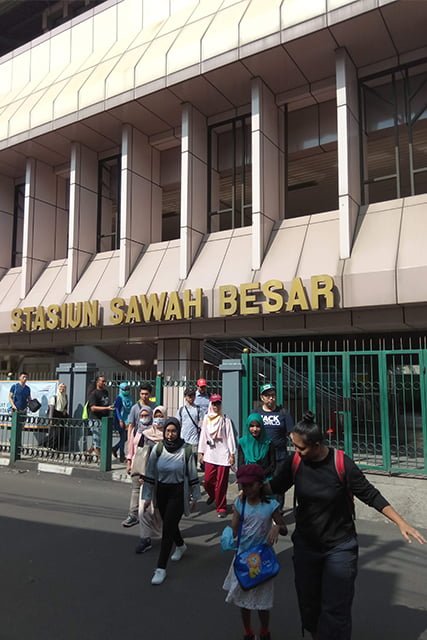 3 Ngojak 19